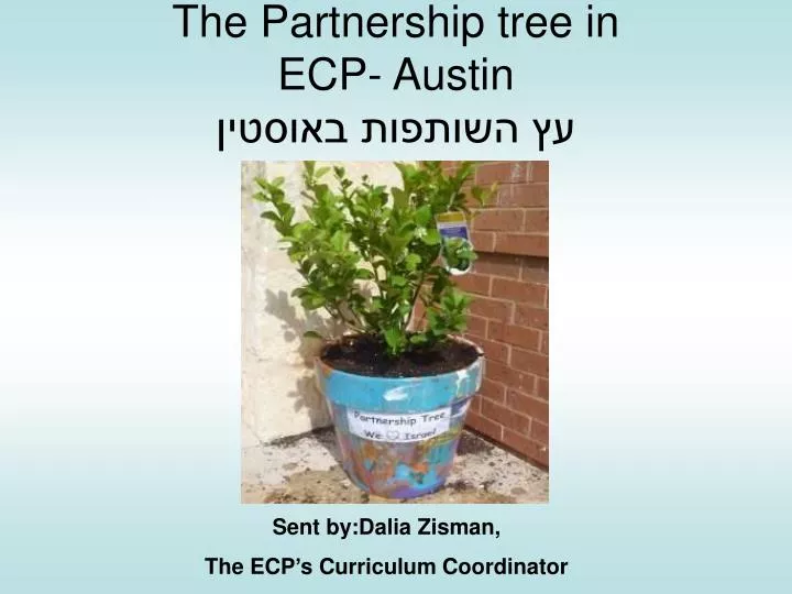 the partnership tree in ecp austin