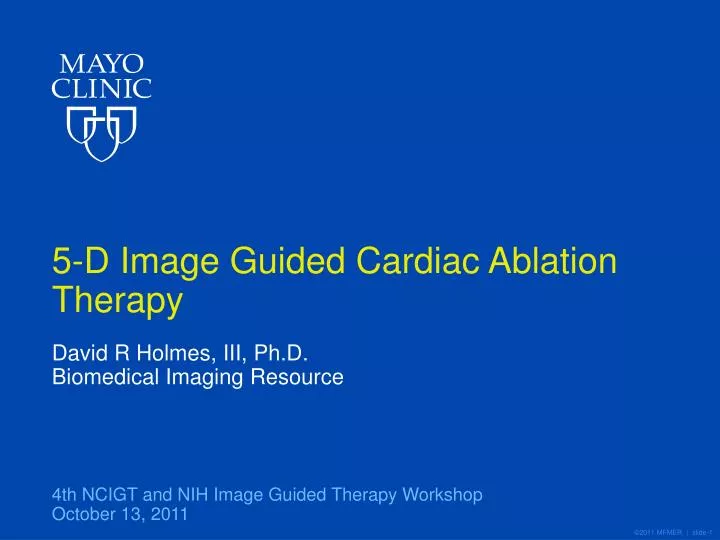 5 d image guided cardiac ablation therapy