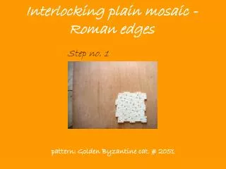 Interlocking plain mosaic -Roman edges