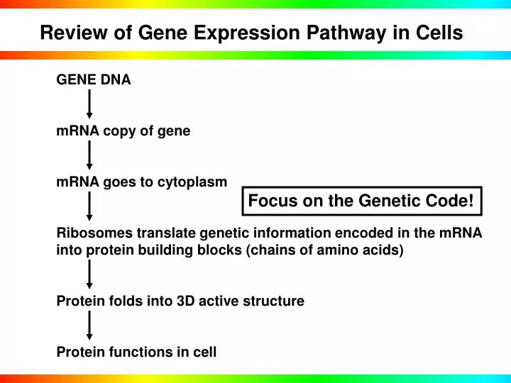 review of gene expression pathway in cells