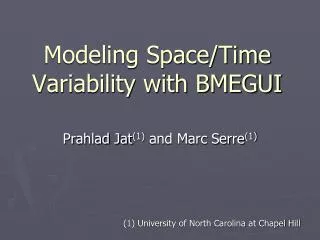 Modeling Space/Time Variability with BMEGUI