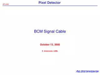 BCM Signal Cable