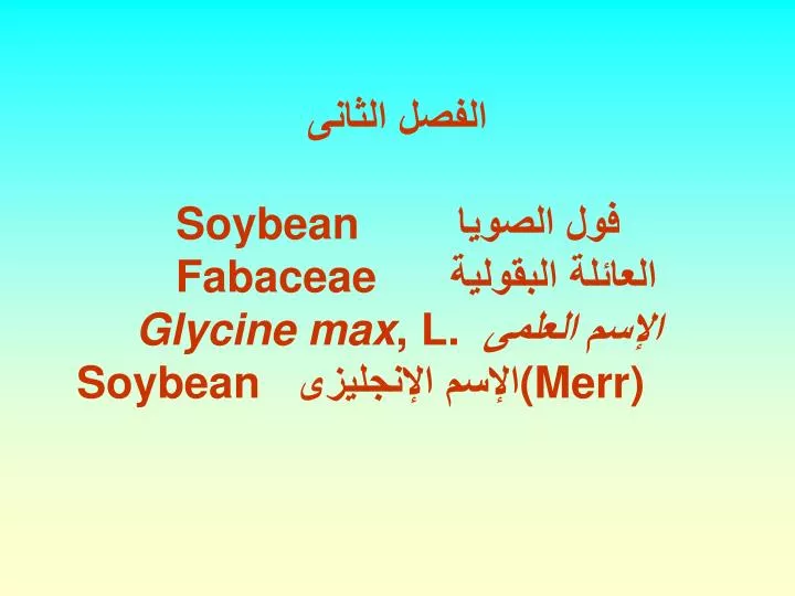 soybean fabaceae glycine max l merr soybean