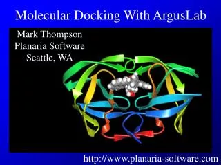 Mark Thompson Planaria Software Seattle, WA