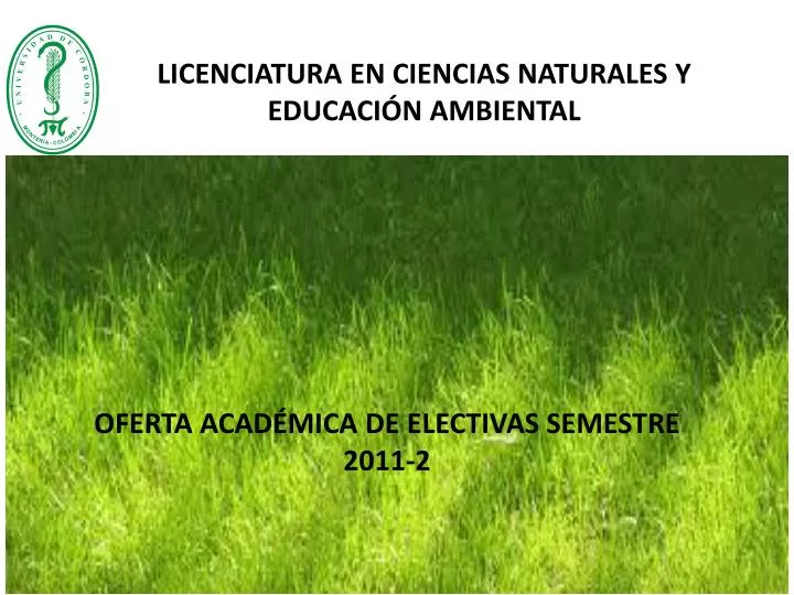 oferta acad mica de electivas semestre 2011 2