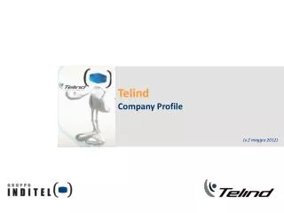 Telind Company Profile