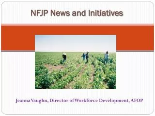 NFJP News and Initiatives