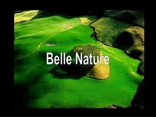 Belle Nature