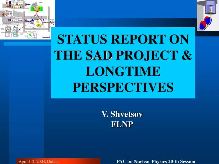 status report on the sad project longtime perspectives