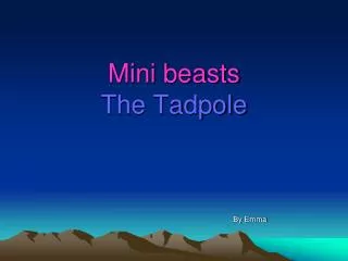 Mini beasts The Tadpole