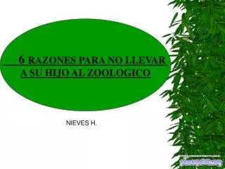 nieves h