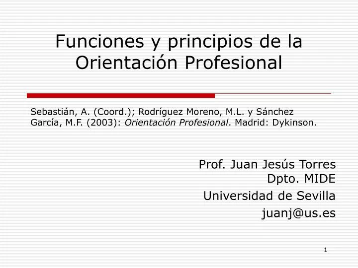 funciones y principios de la orientaci n profesional