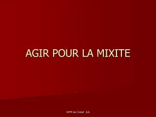 agir pour la mixite