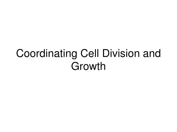 coordinating cell division and growth