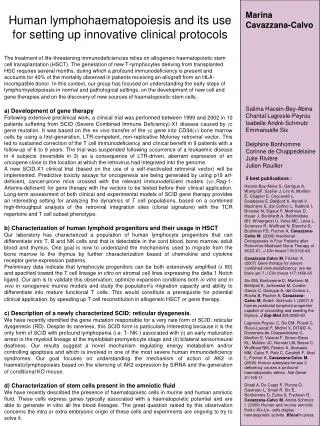 Human lymphohaematopoiesis and its use for setting up innovative clinical protocols