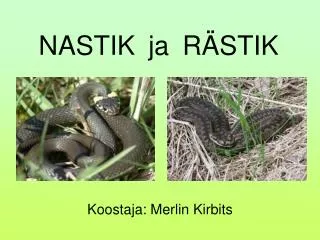 nastik