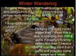Winter Wandering: Foraging Efficiency Decision for Daisy - slide 1