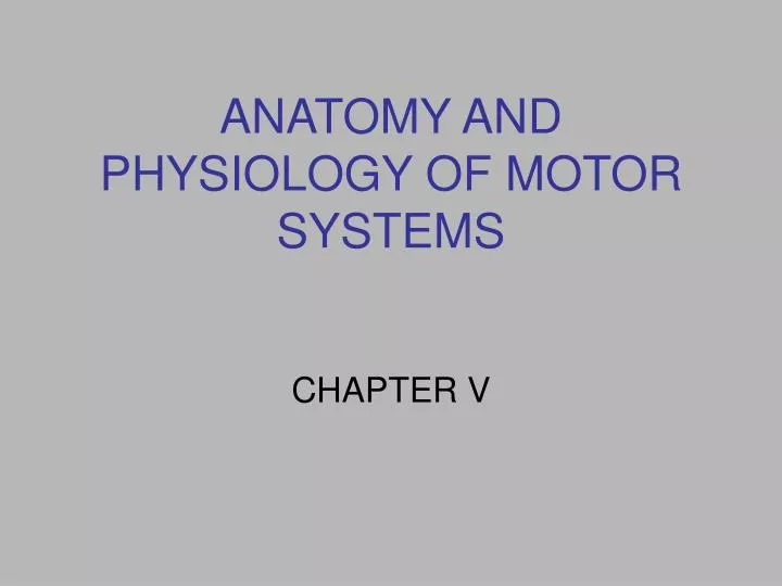 anatomy and physiology of motor systems