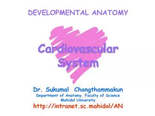 DEVELOPMENTAL ANATOMY Cardiovascular System Dr. Sukumal Chongthammakun