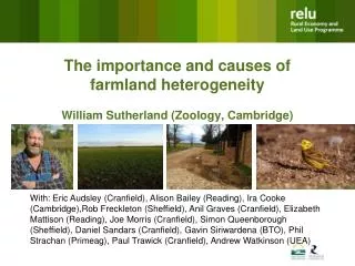 The importance and causes of farmland heterogeneity William Sutherland (Zoology, Cambridge)