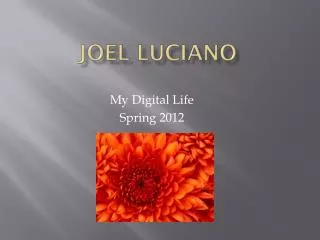 joel luciano