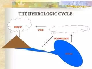 THE HYDROLOGIC CYCLE