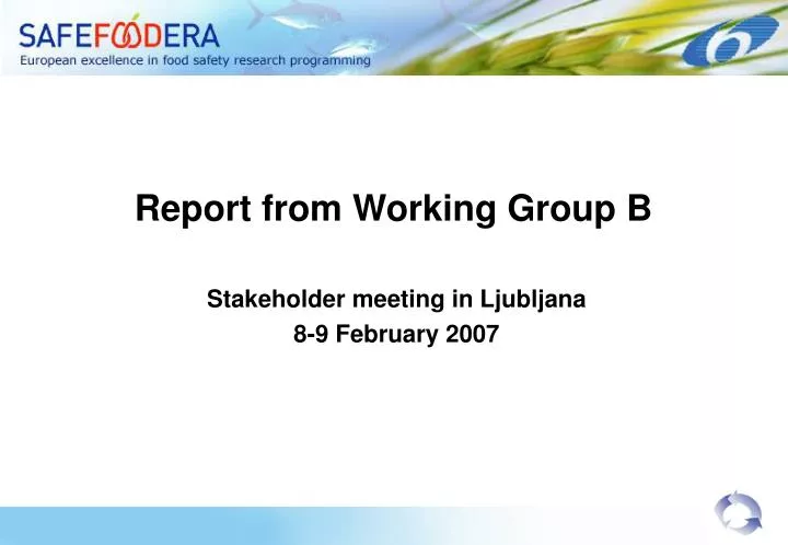 report from working group b