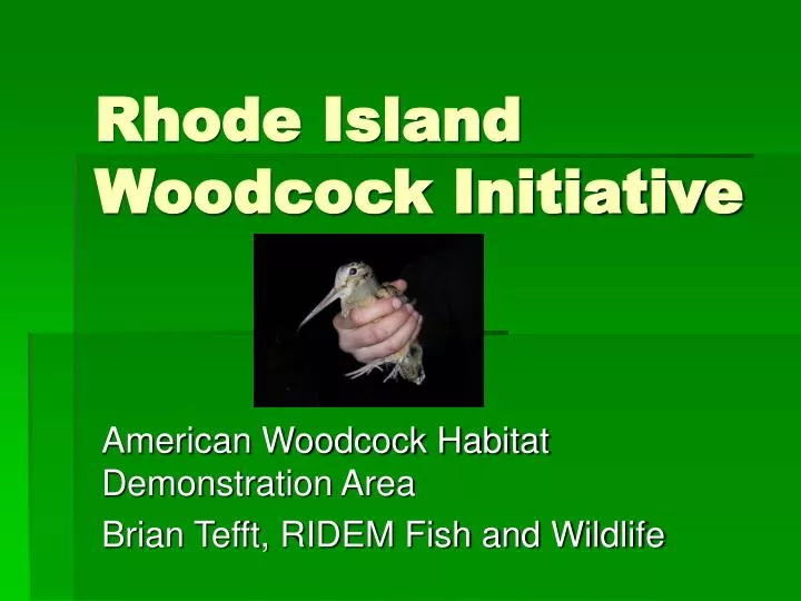 rhode island woodcock initiative