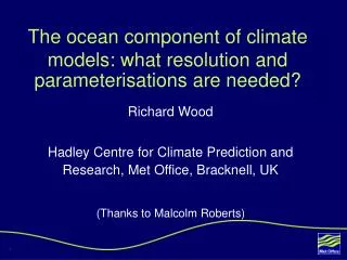 The ocean component of climate models: what resolution and parameterisations are needed?