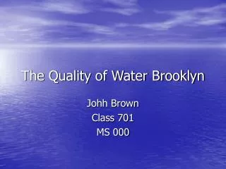 The Quality of Water Brooklyn