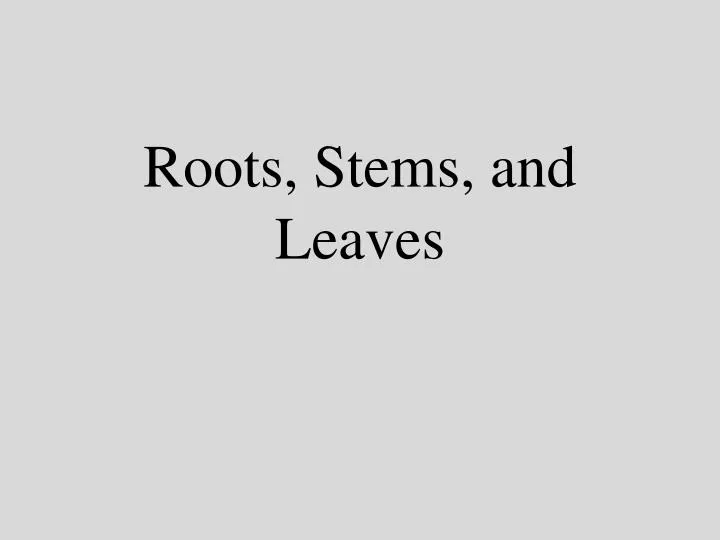 roots stems and leaves