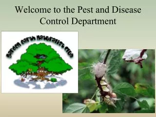 Welcome to the Pest and Disease Control Department