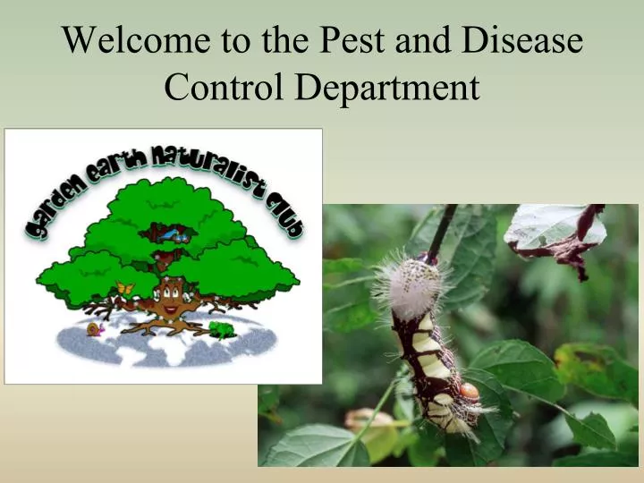 welcome to the pest and disease control department