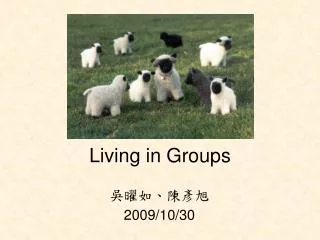 Living in Groups