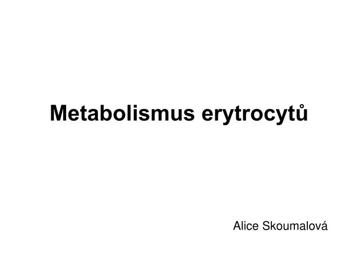metabolismus erytrocyt