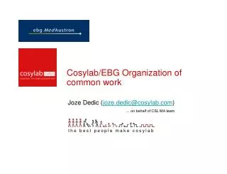 Cosylab/EBG Organization of common work