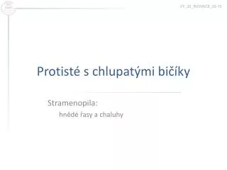 protist s chlupat mi bi ky