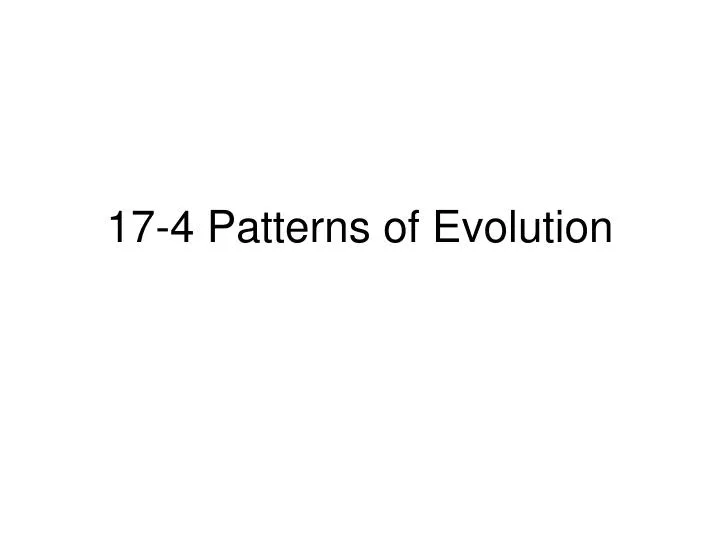 17 4 patterns of evolution