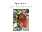 Speciation - slide 1