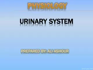 urinary system