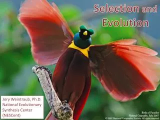 Selection and Evolution