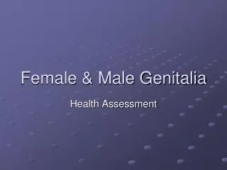 Female &amp; Male Genitalia
