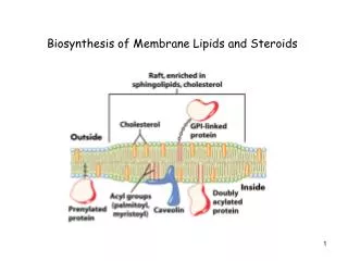Biosynthesis of Membrane Lipids and Steroids