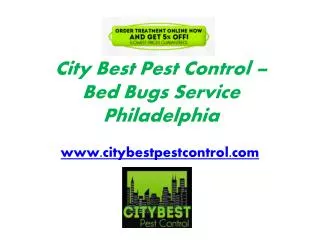 Mosquito Spray Treatment in Philadelphia, PA - www.citybestpestcontrol.com