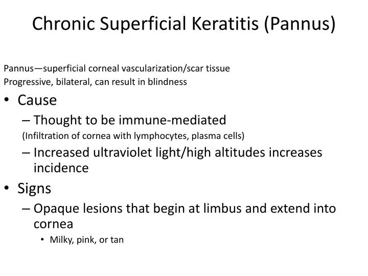 chronic superficial keratitis pannus
