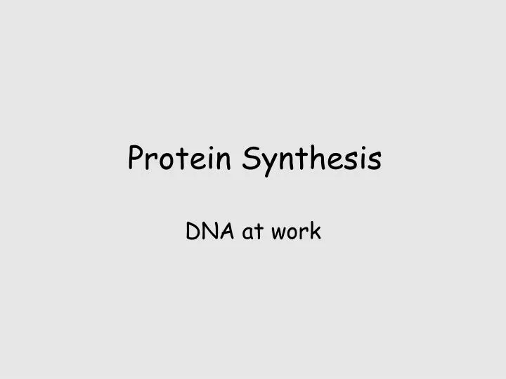 protein synthesis