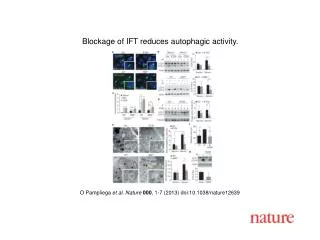 O Pampliega et al. Nature 000 , 1-7 (2013) doi:10.1038/nature12639