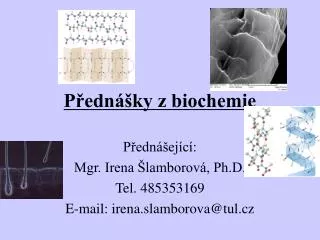 p edn ej c mgr irena lamborov ph d tel 485353169 e mail irena slamborova @tul cz