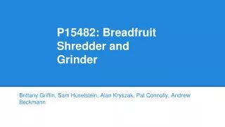 P15482: Breadfruit Shredder and Grinder