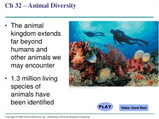 Ch 32 – Animal Diversity